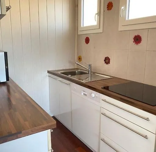 Front De T2 Balcon, Jardin, Garage, Proche Commerces